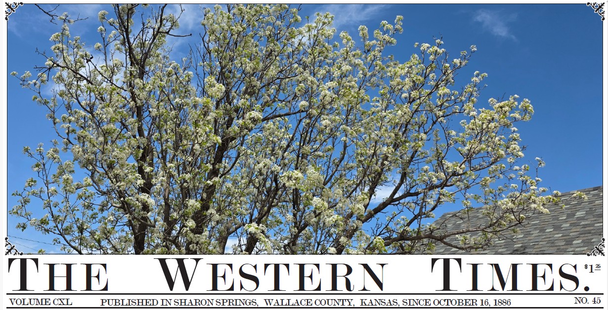 The Western Times