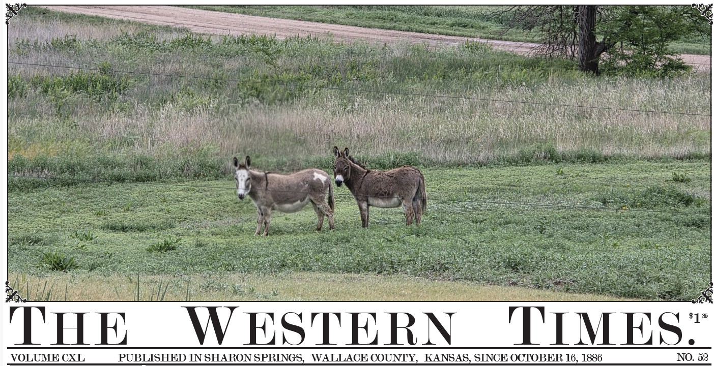 The Western Times