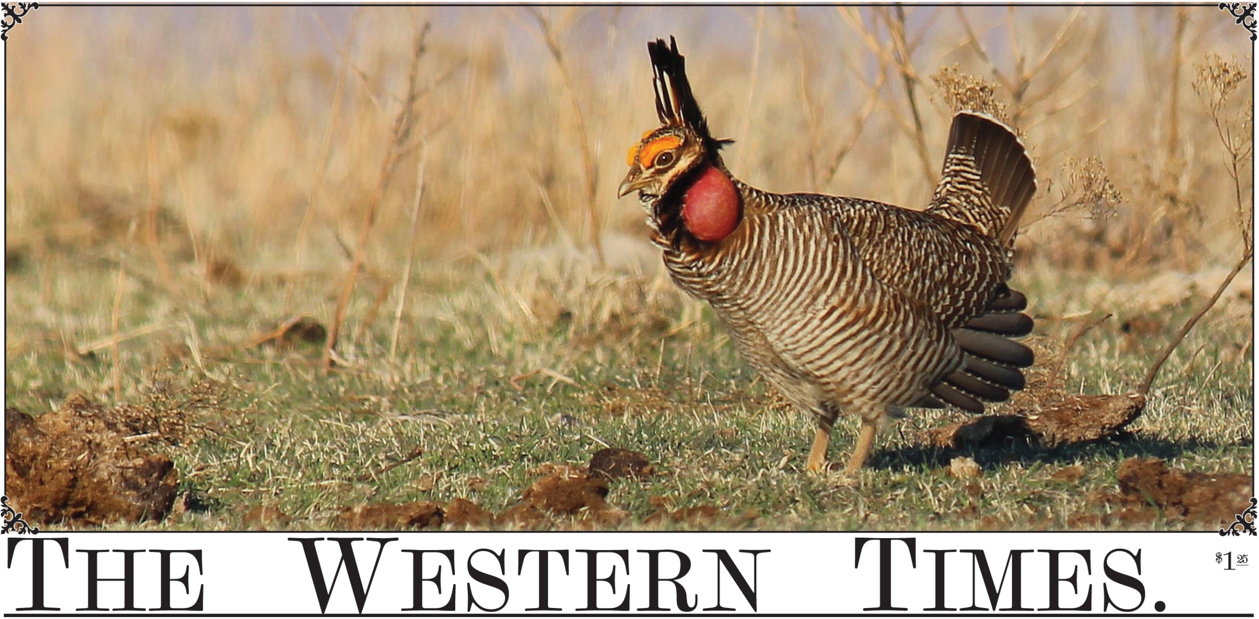 The Western Times