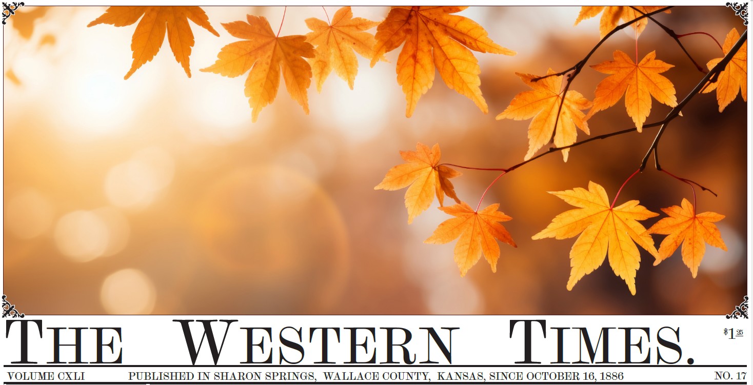 The Western Times