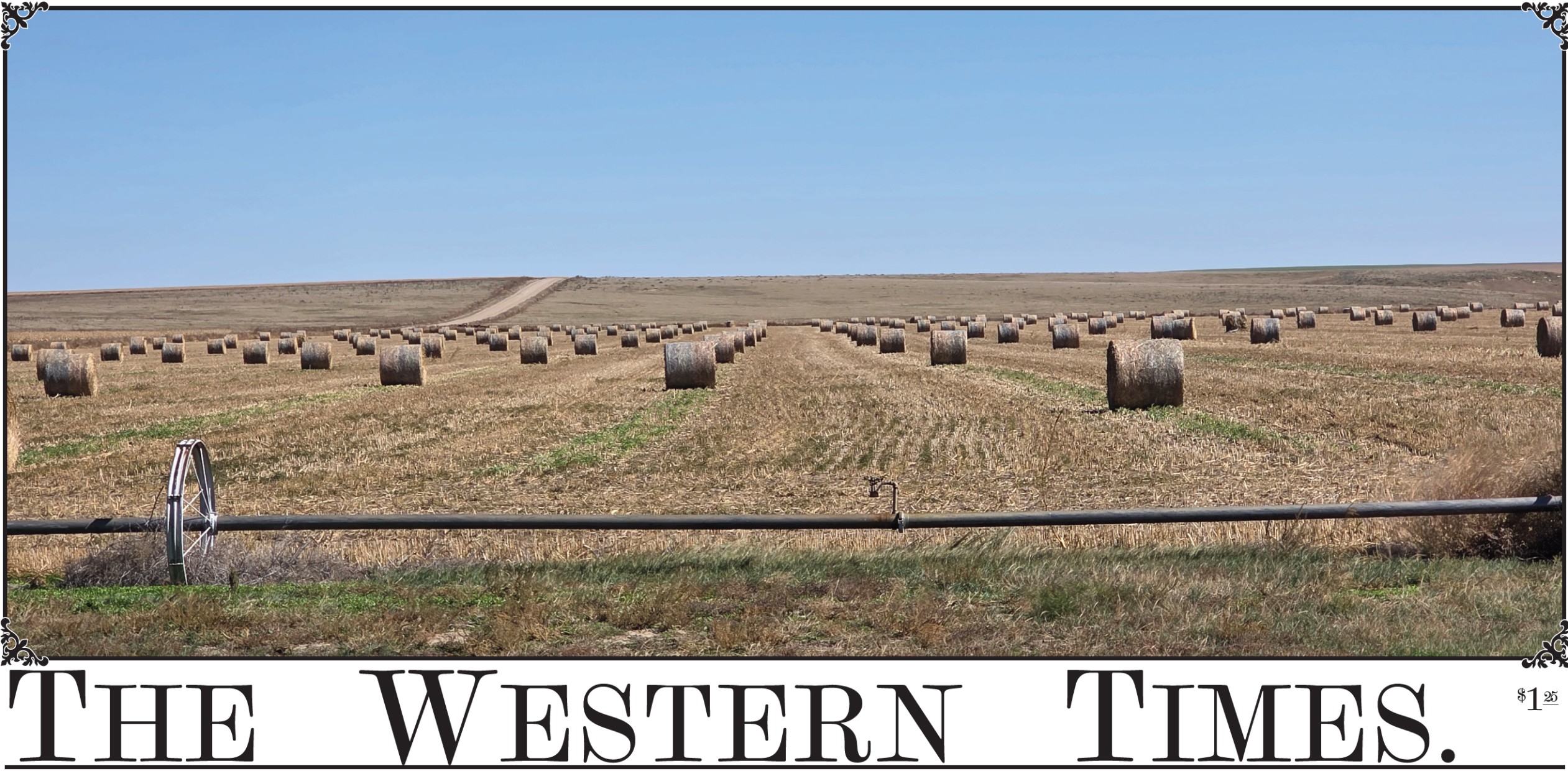 The Western Times