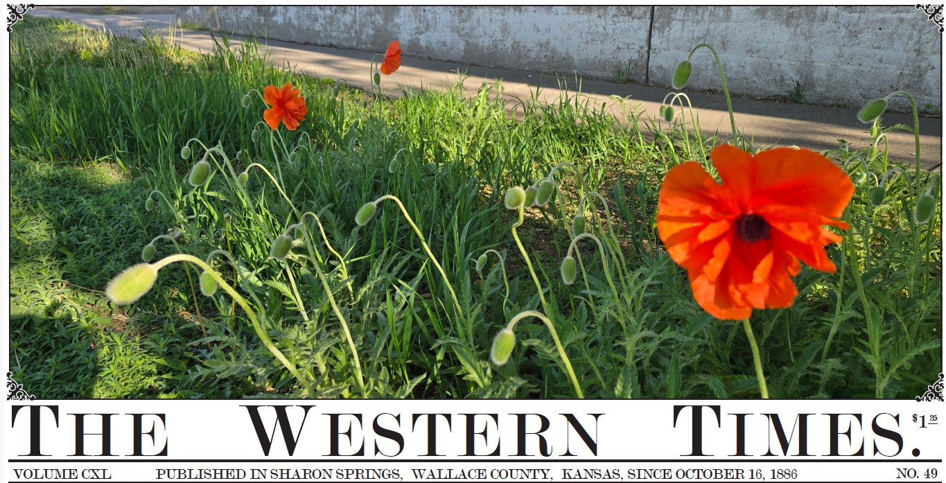 The Western Times